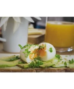 BRAINSTREAM Eieruhr "PiepEi", Lila -Angebote Backen Store unnamed file 718