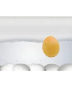 BRAINSTREAM Eieruhr "Küken PiepEi" -Angebote Backen Store unnamed file 725